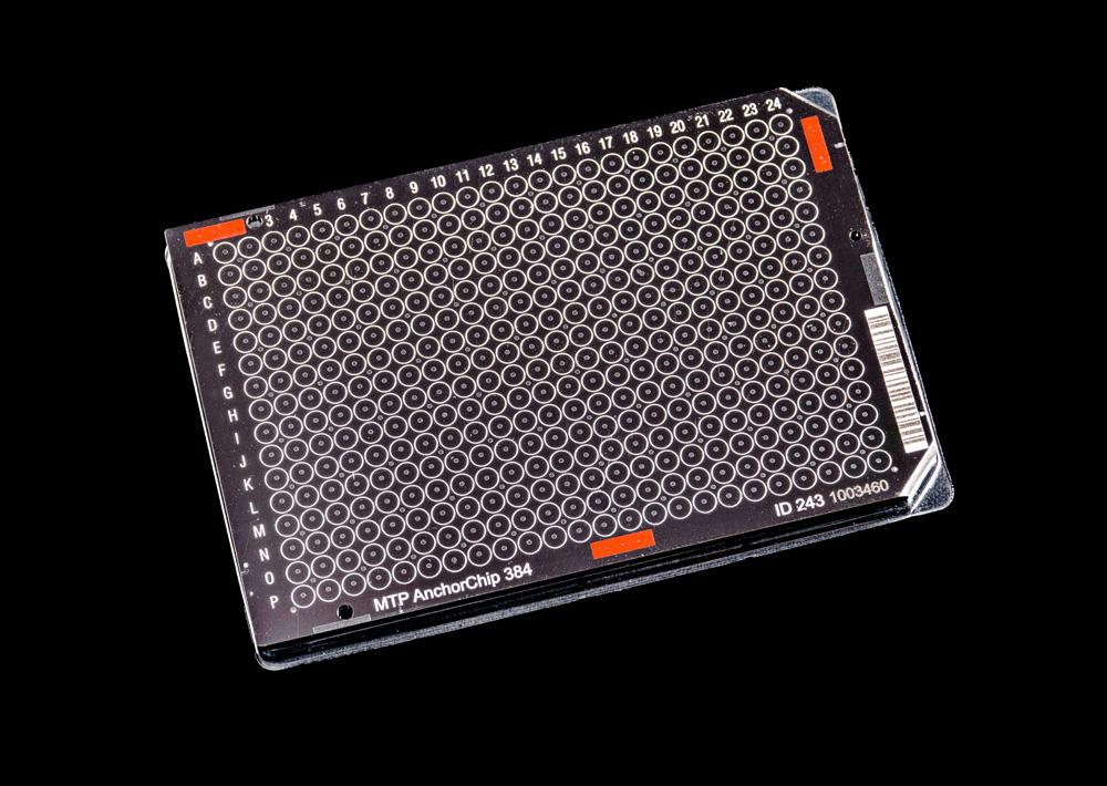8280790-MALDI AnchorChip Targets 20210113 8280790-MALDI AnchorChip Targets 20210113