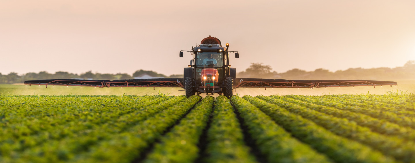 FARM-header-1600x650 FARM-header-1600x650