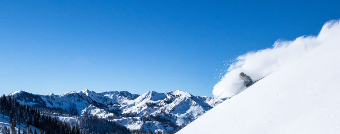 vailhero vailhero