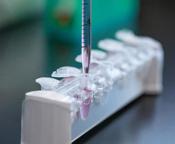 merck3 merck3