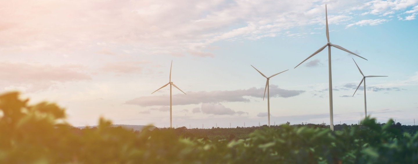 energy law energy law