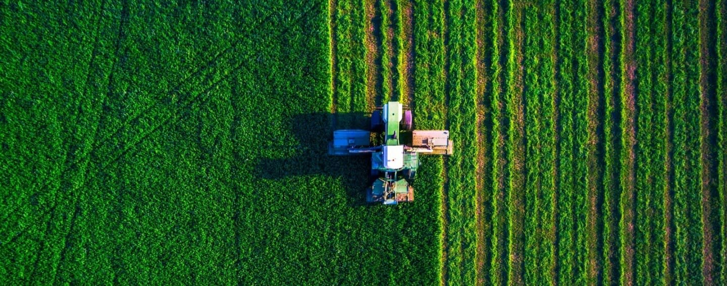 farm farm