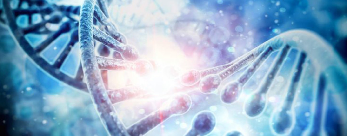 Co-Diagnostics hero image Co-Diagnostics hero image