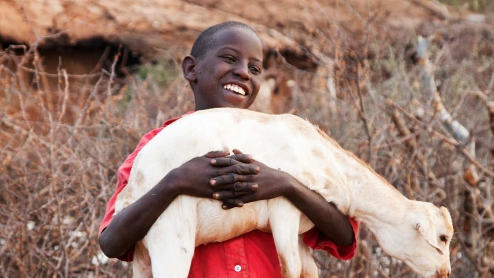 Afrikanischer Junge mit einer weissen Ziege in seinen Händen, der sich sehr darüber freut.