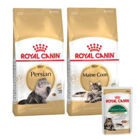 Royal Canin Breed för katter