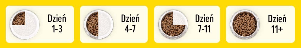 Dzień 1-3, dzień 4-7, dzień 7-11, dzień 11+.