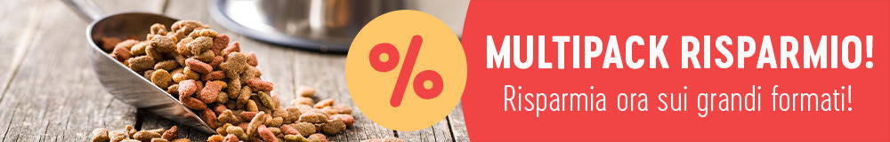 2023 12 SavingPacks 1000x160 BI IT