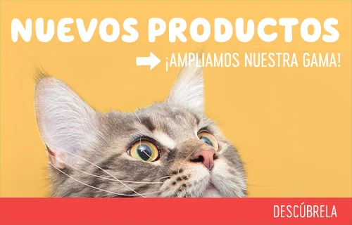 Nuevos productos en alimentación para gatos