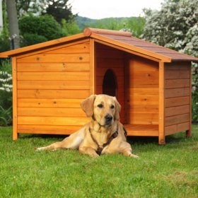 Large & XL Dog Kennels