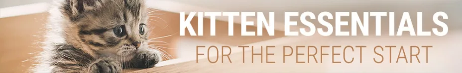 Kitten Essentials for the perfect start 