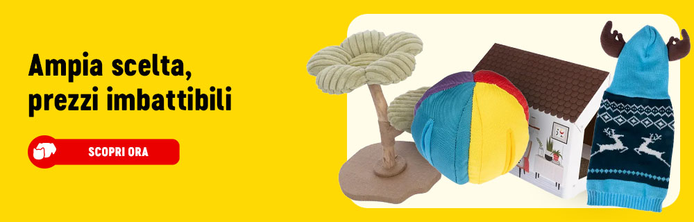 2026_01_OBA__Evergreen_IT