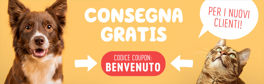 Consegna gratis