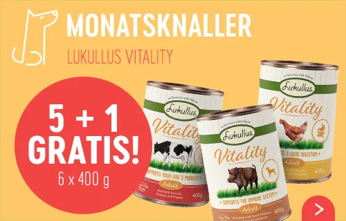 5 + 1 gratis! 6 x 400 g Lukullus Vitality