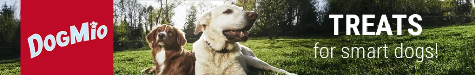 Discover DogMio Dog Treats 