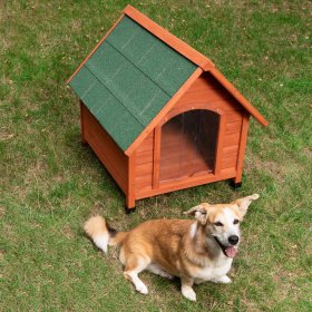 Medium Dog Kennels 