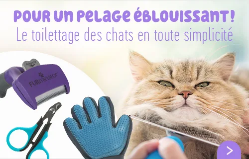 Tous les produits pour le toilettage de votre chat !