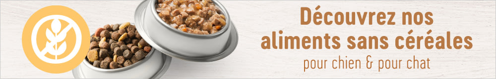 Recettes sans céréales pour chiens et chats
