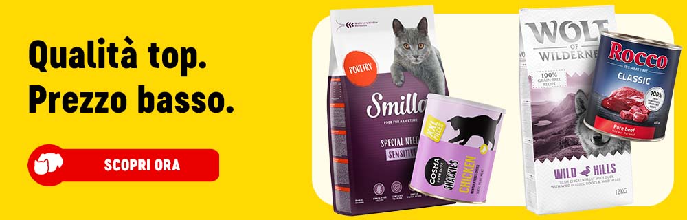 Scopri Qualita top e prezzo basso