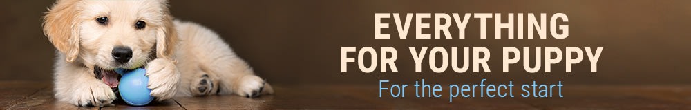 Everything for your puppy