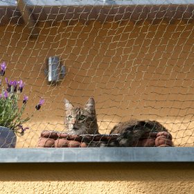 Filets de protection pour chat