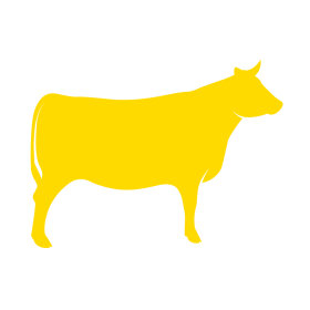 Viandes séchées au bœuf et au veau pour chien
