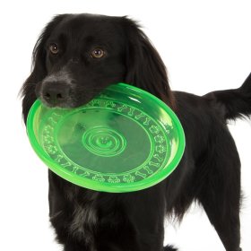 Hundefrisbees