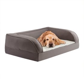 Big dog beds