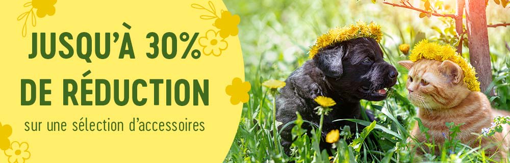 Jusqu'à 30 % de réduction sur une sélection d'accessoires !