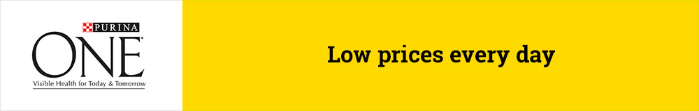 Purina ONE Dry Cat Food