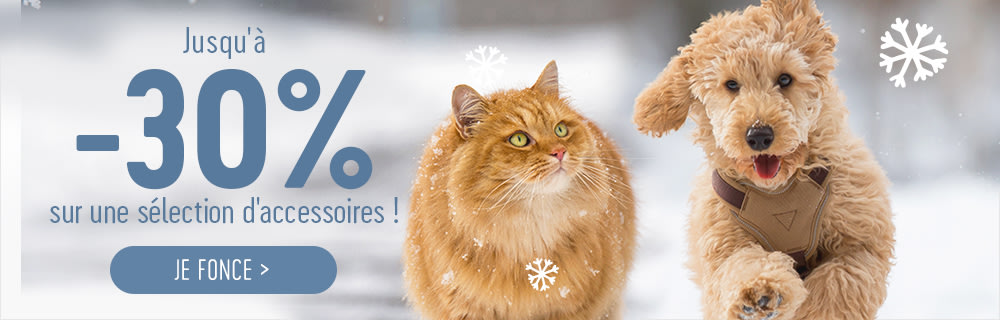 Profitez de réductions sur les accessoires sur bitiba !