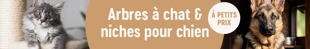 Petits prix sur les arbres à chat et niches pour chien