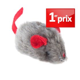 Accessoires premiers prix pour chat en promo