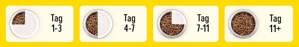 Tag 1-3 Tag 4-7 Tag 7-11 Tag 11+