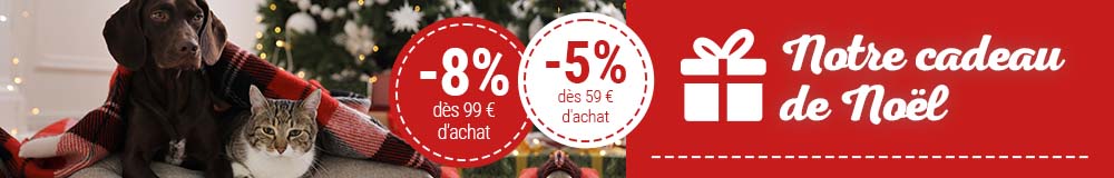 Notre cadeau de Noël : jusqu'à 8 % de remise sur TOUT le site !
