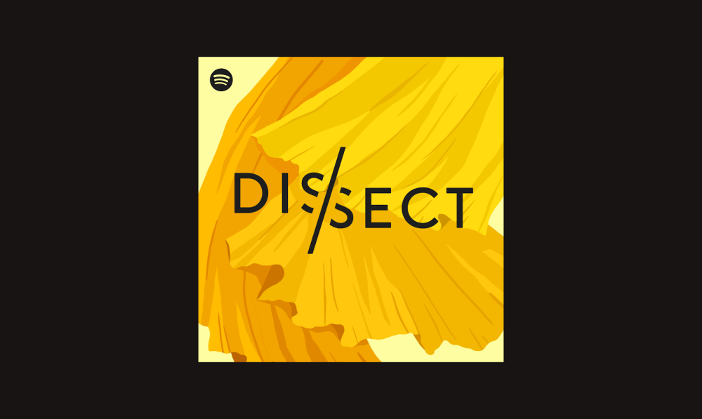Dissect 05
