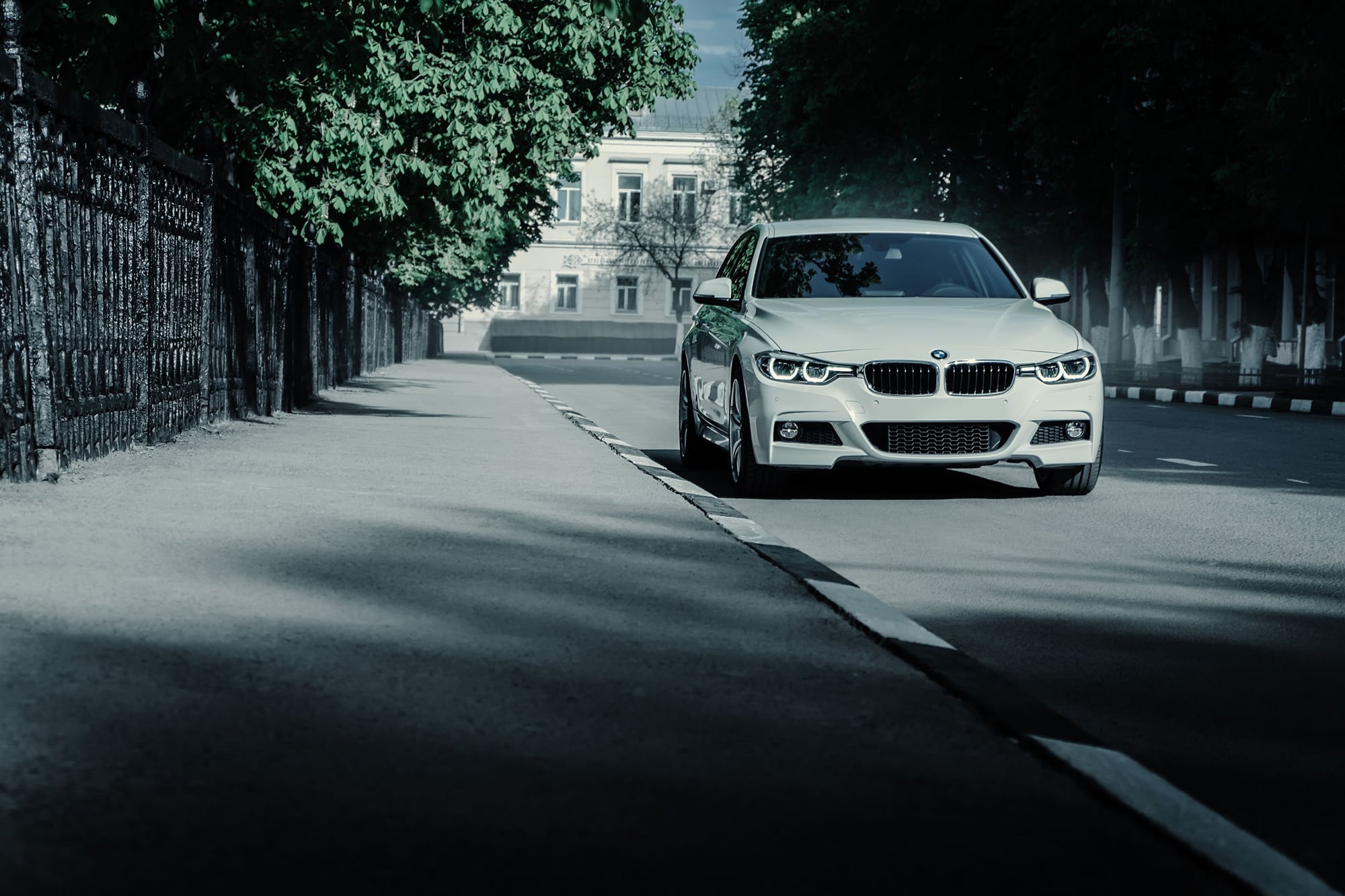 BMW5 BMW5