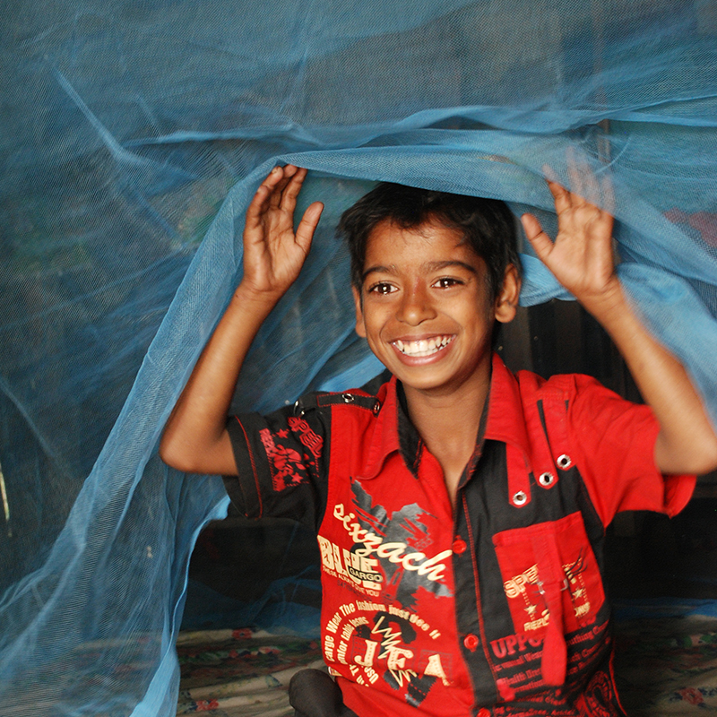 Mosquito Net