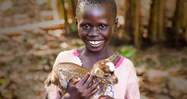 How a Goat Helps Provide Security for Vulnerable Children
