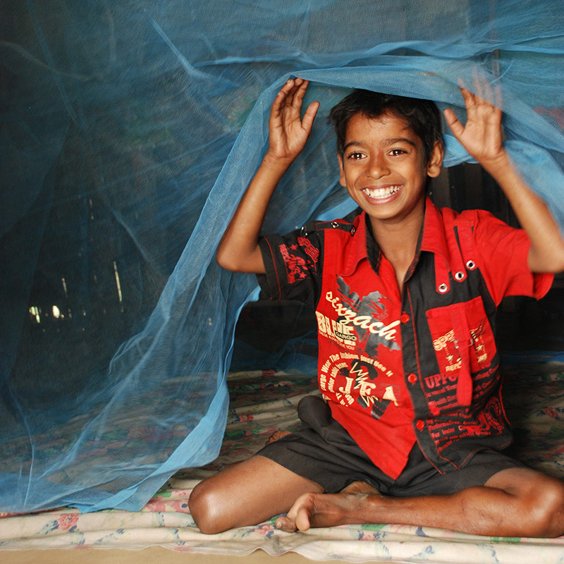 Mosquito Net