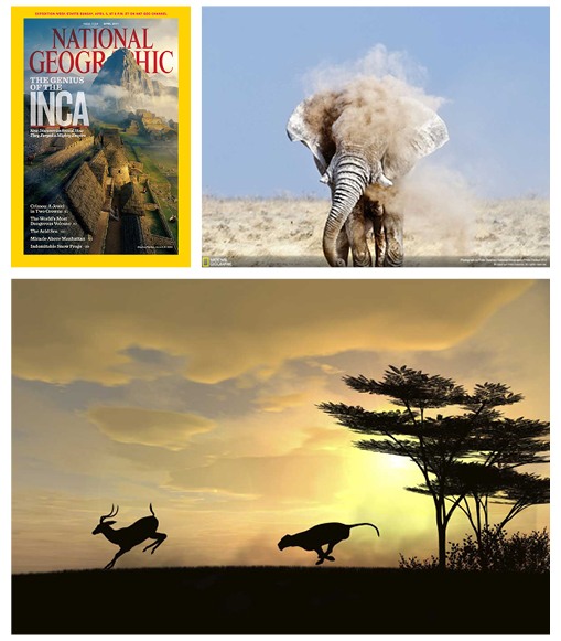 National Geographic: Vast, stunning imagery of nature and wildlife. Vibrant, contrasty, epic.