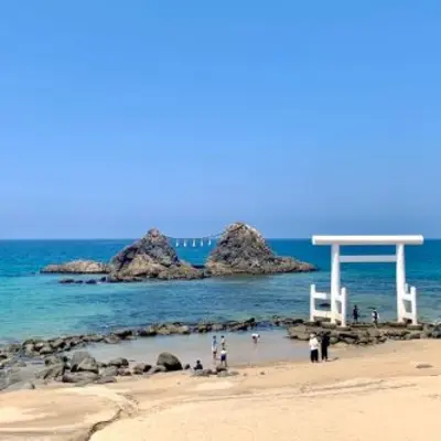 Visit popular spots in Itoshima with seafood lunch
