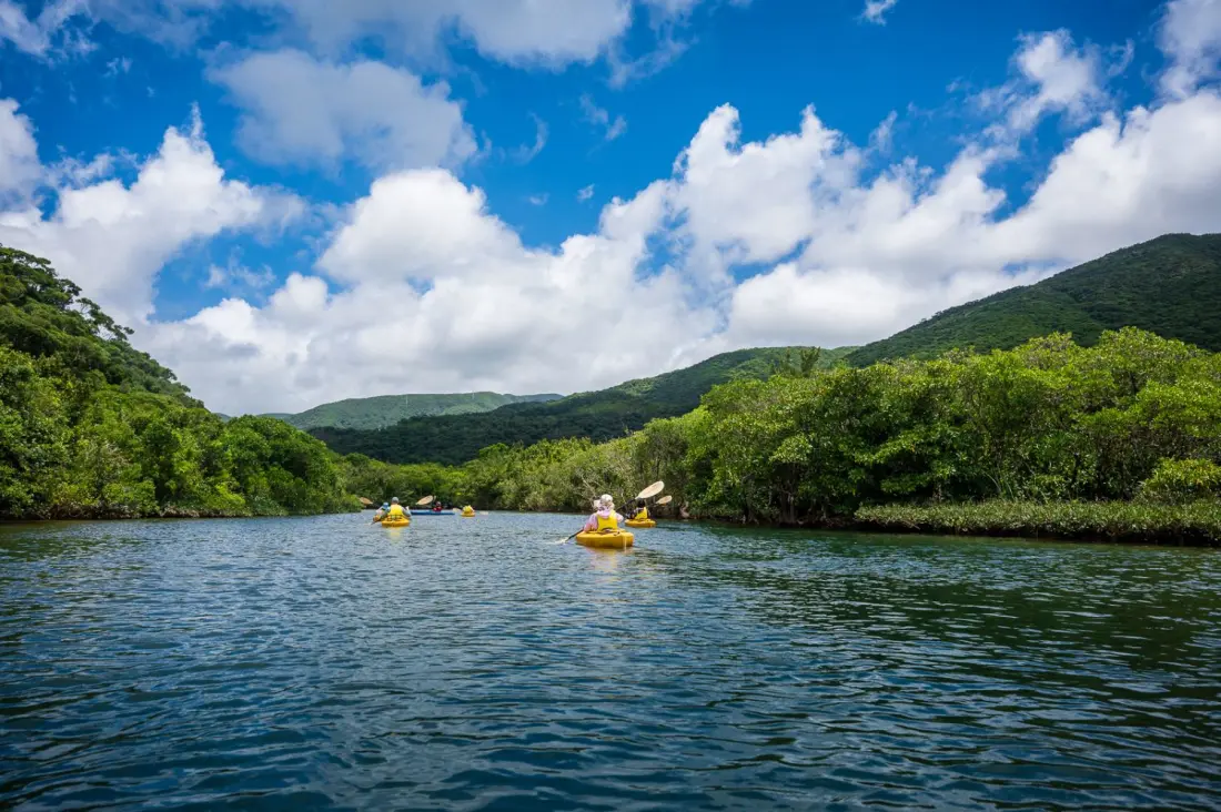 Kayakking,Cycling：A journey to experience the rich climate and lifestyle of the World Natural Heritage Site Amami-Oshima, nurtured by the "Kuro-shio″ 