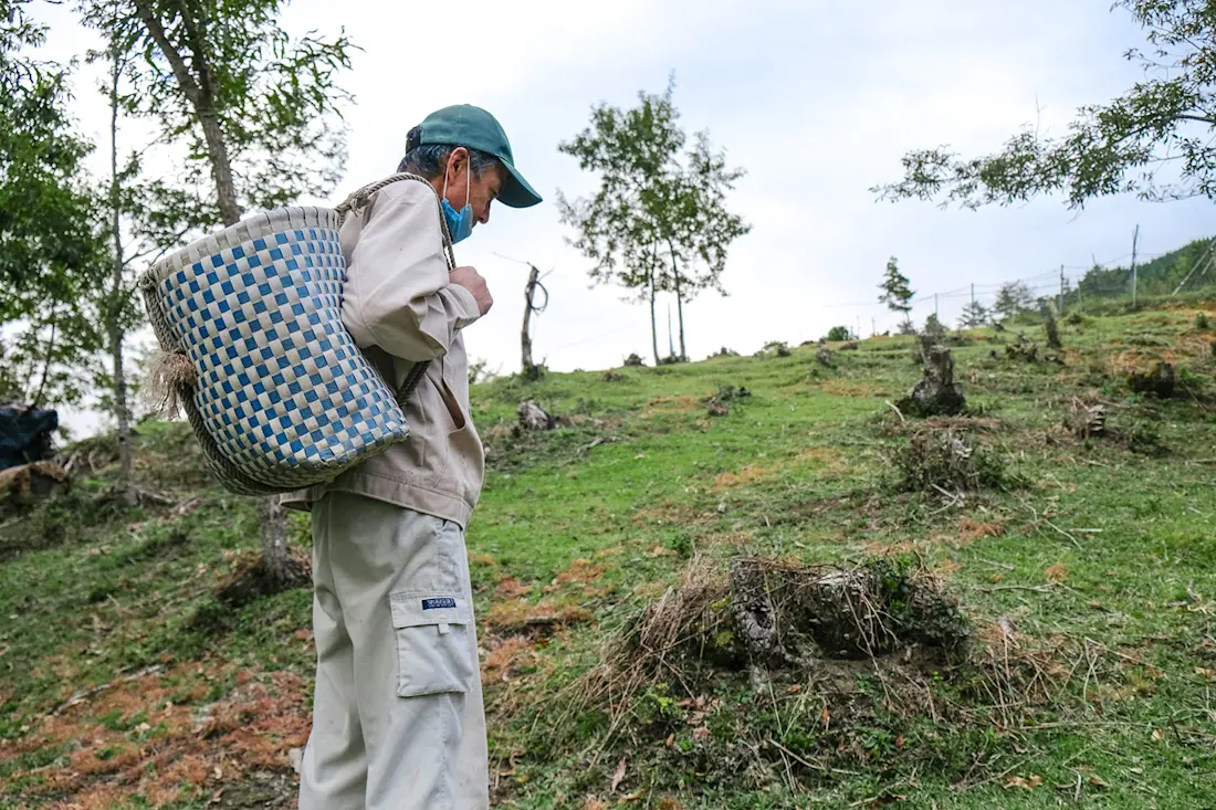 A comprehensive insight into the intertwining cultures of Modern and Ancient Japan Life