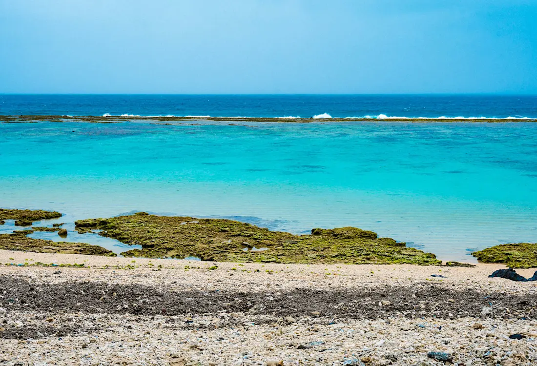 Amami-Oshima and Tokunoshima Natural World Heritage Sites