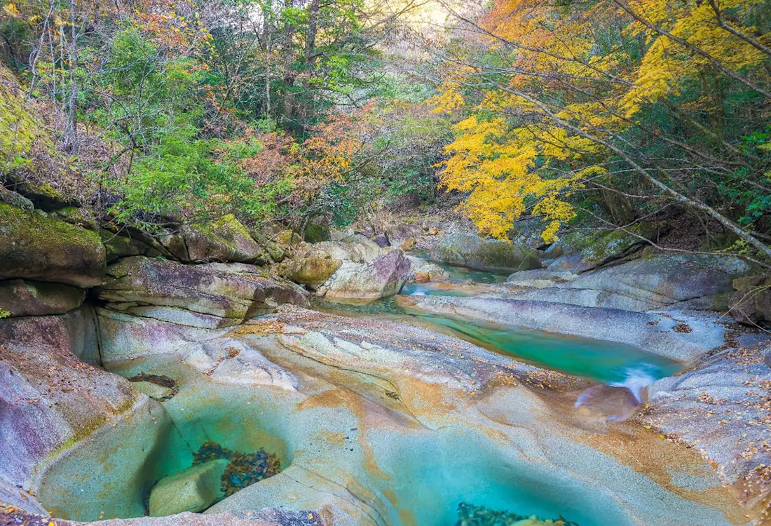 Trekking, Shower Climbing: A journey with Masa to feel the harmony of nature