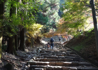A two-day trip in Kurume:2 day tour featuring Mt. Kora Nature Walk and Japanese Craft experiences in cool Kurume