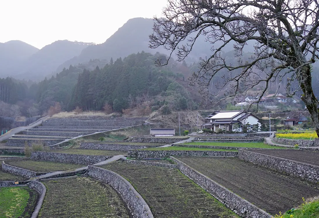 Journey into the Countryside and Pottery of Northern Kyushu