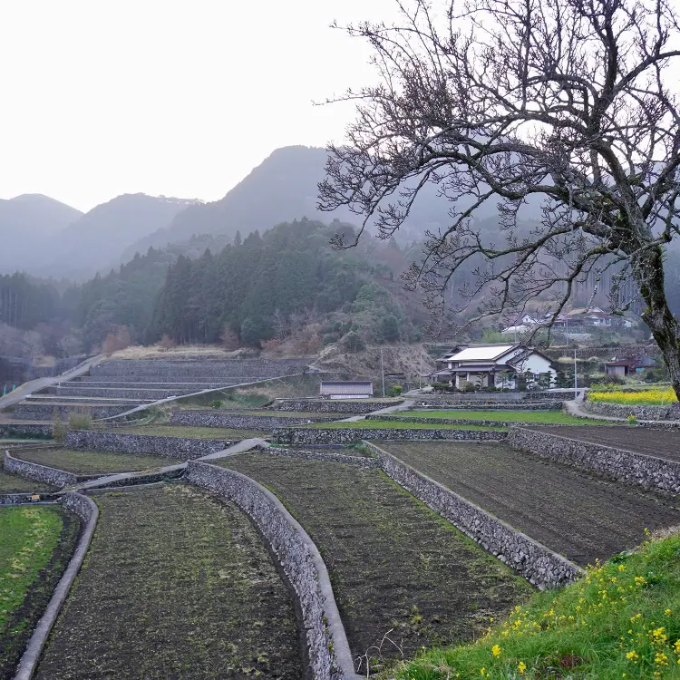 Journey into the Countryside and Pottery of Northern Kyushu