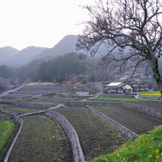 Journey into the Countryside and Pottery of Northern Kyushu: