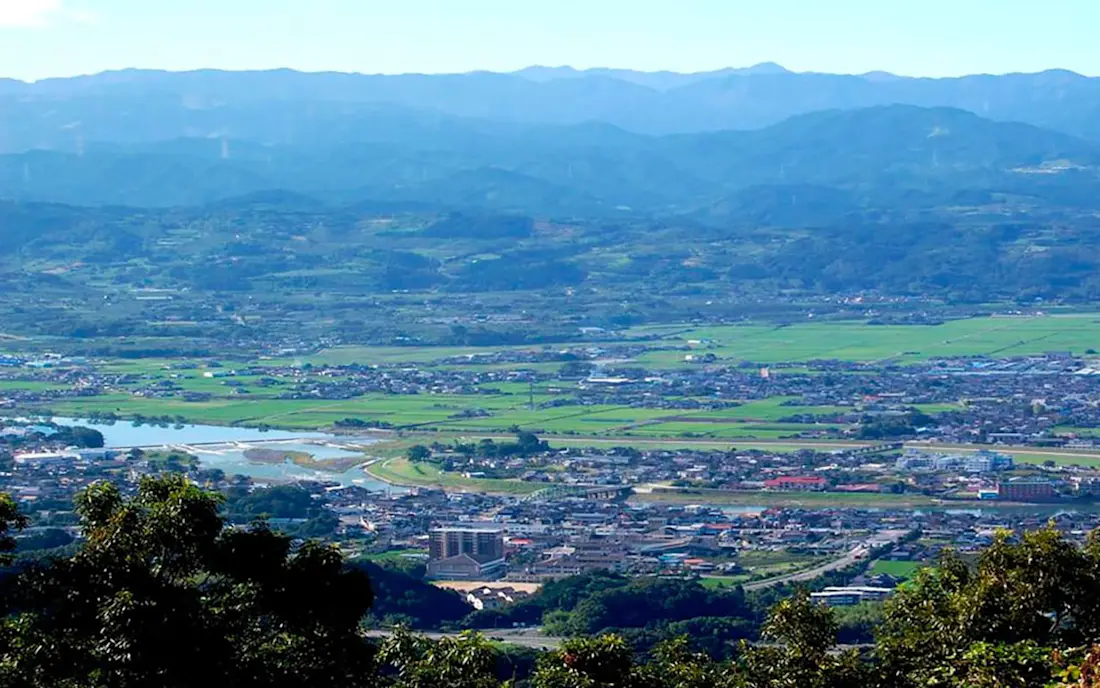 Sample whole simmered perch,
